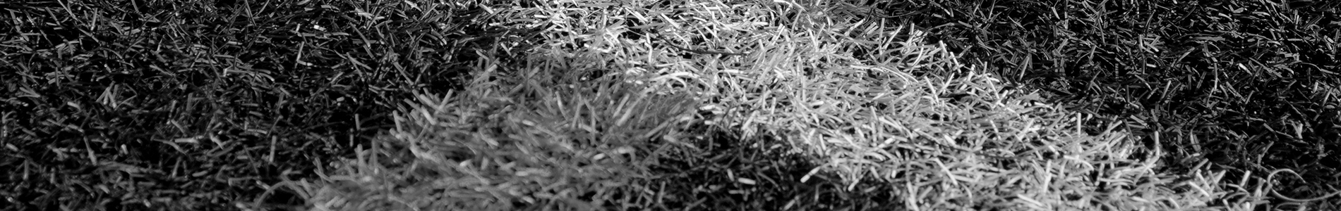 Slider Image 1